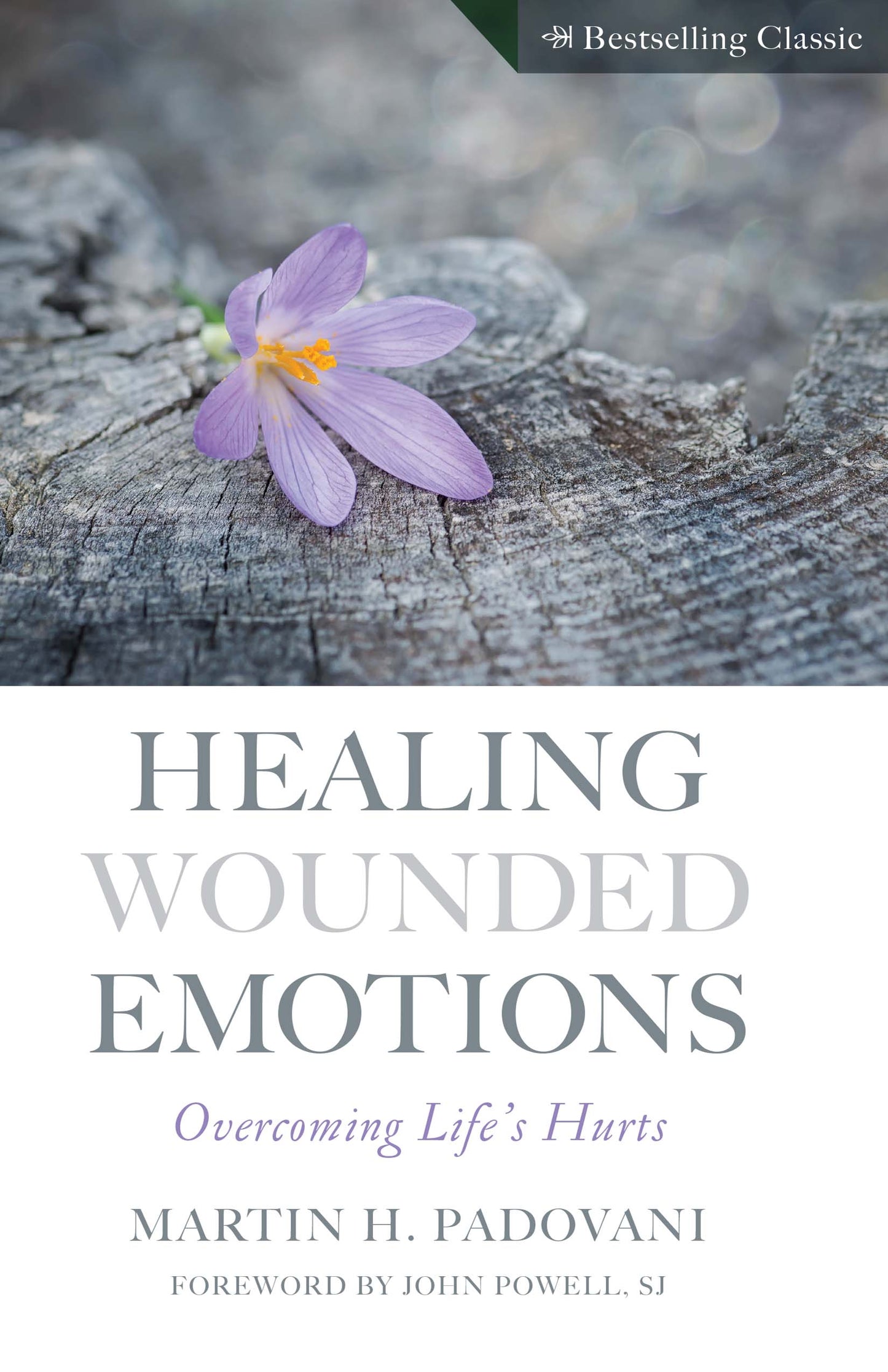 Healing Wounded Emotions