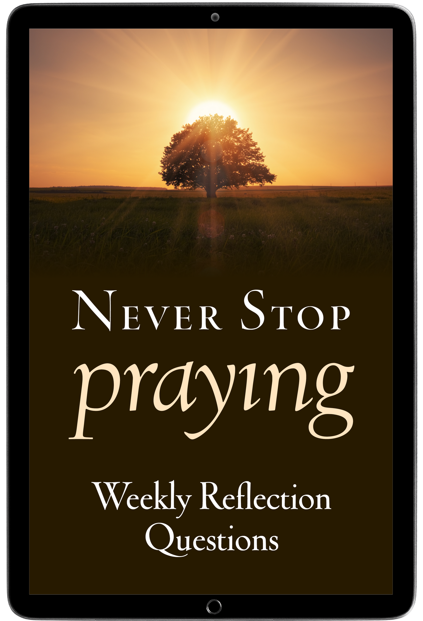 Never Stop Praying Weekly Reflection Questions (E-Resource)