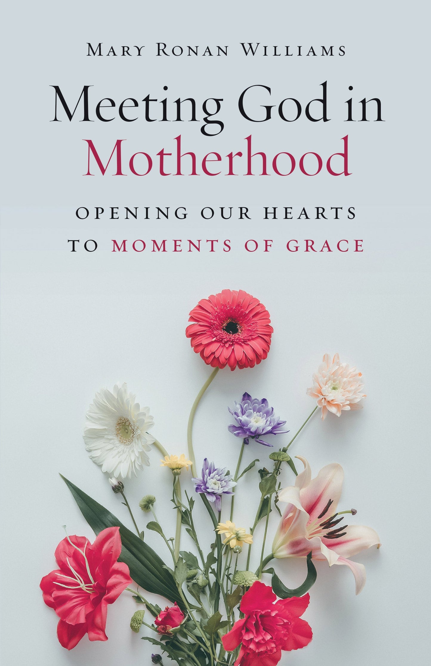 SALE - Meeting God in Motherhood