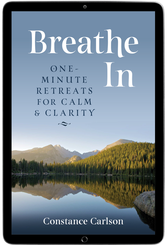 Breathe In (E-Resource, Sharable version)