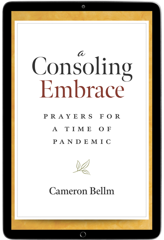 A Consoling Embrace (E-Resource, Parish and School Sharable version)