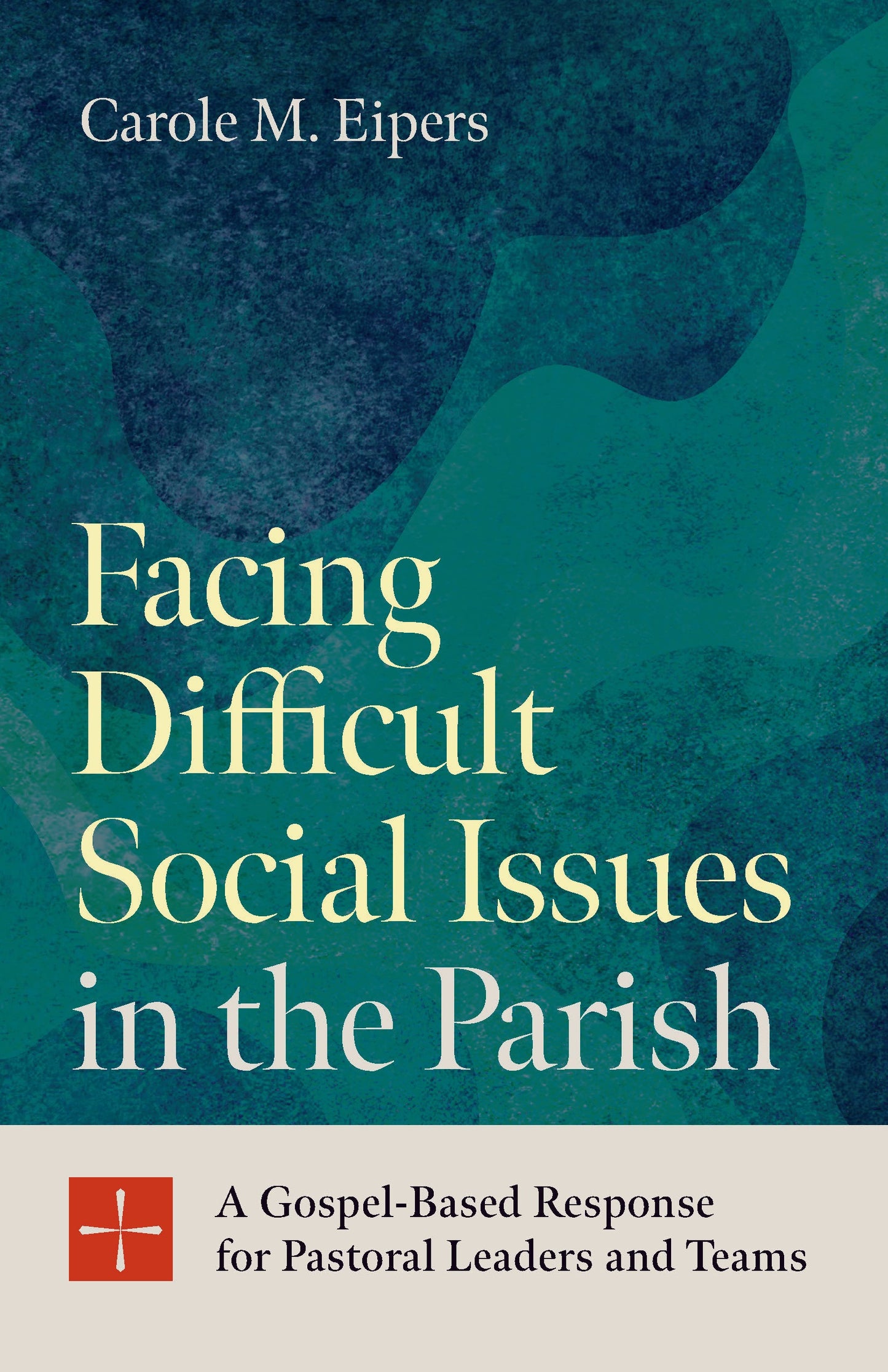 SALE - Facing Difficult Social Issues in the Parish