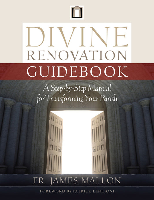 Divine Renovation Guidebook